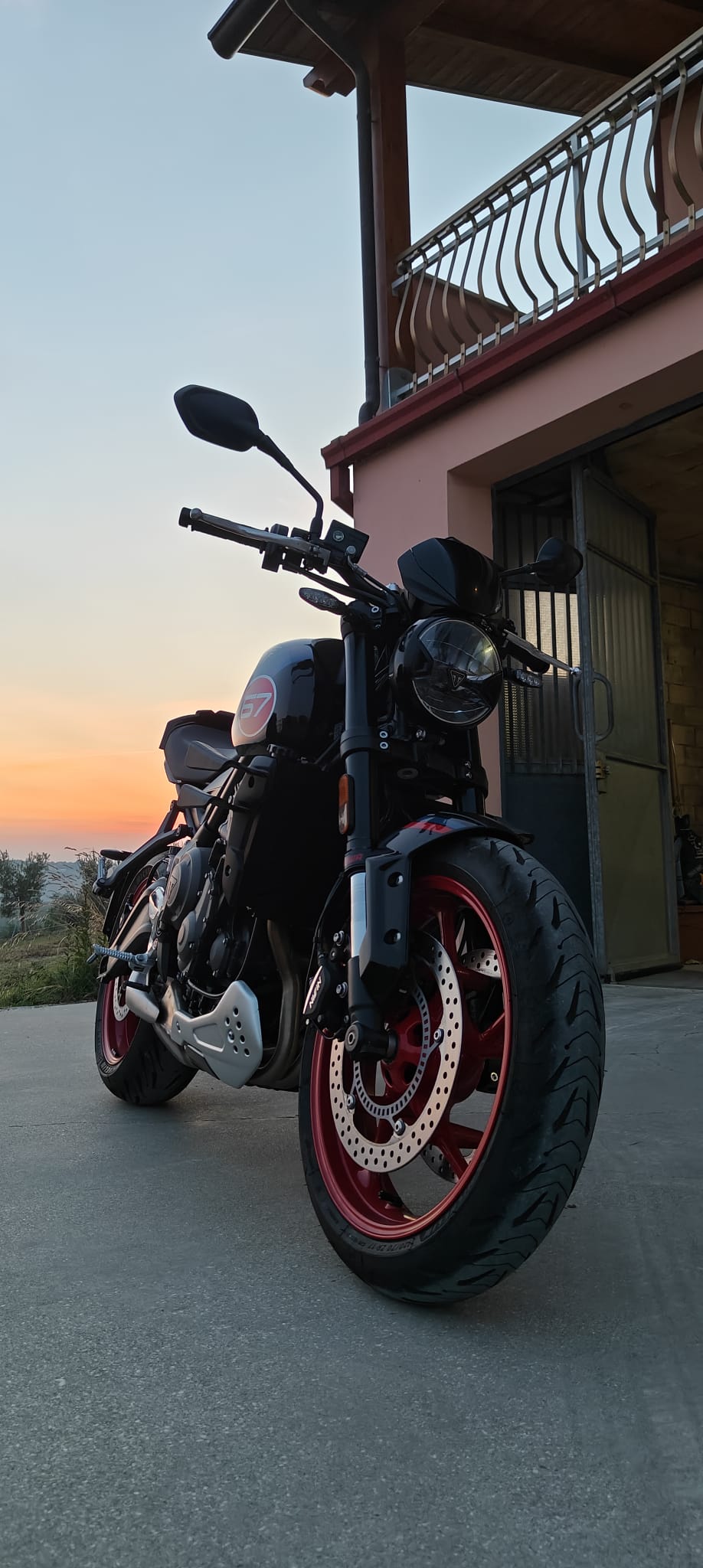 alette triumph 660